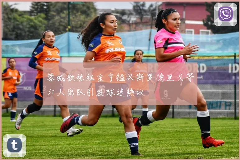 蓉城教练组金亨镒汉斯罗德里戈等六人离队引发球迷热议