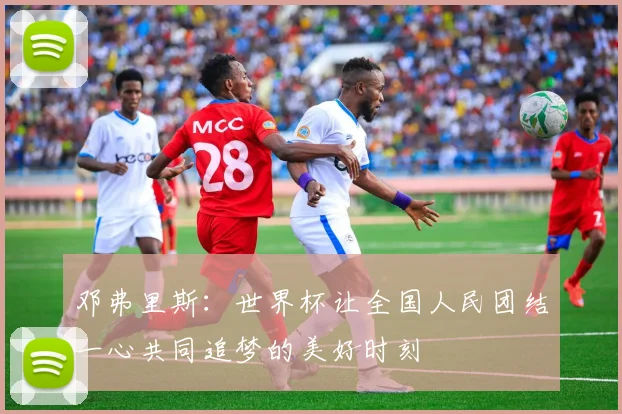 邓弗里斯：世界杯让全国人民团结一心共同追梦的美好时刻